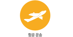 항공 운송